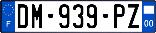 DM-939-PZ