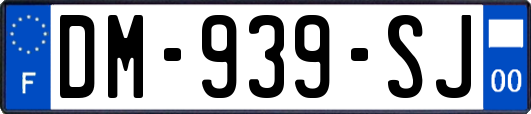 DM-939-SJ