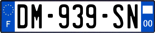 DM-939-SN