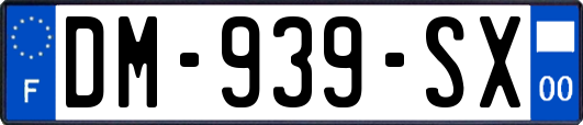 DM-939-SX