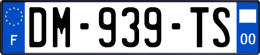 DM-939-TS