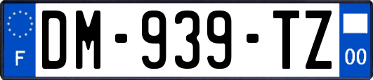 DM-939-TZ