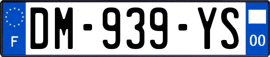 DM-939-YS