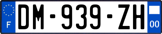 DM-939-ZH