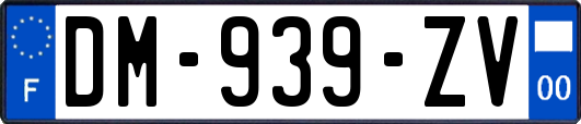 DM-939-ZV