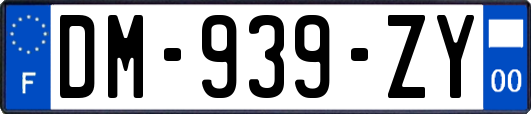 DM-939-ZY