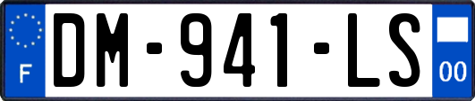 DM-941-LS