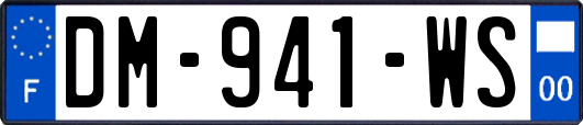 DM-941-WS