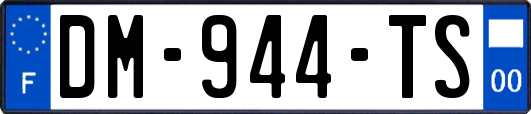 DM-944-TS