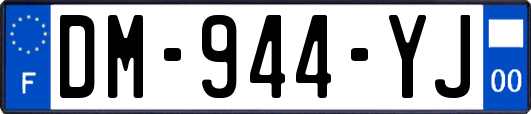 DM-944-YJ