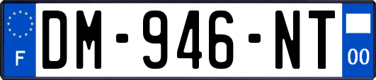 DM-946-NT