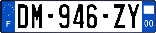 DM-946-ZY