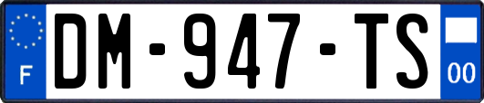 DM-947-TS