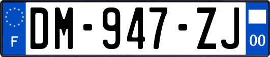 DM-947-ZJ