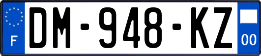 DM-948-KZ