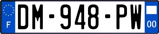 DM-948-PW