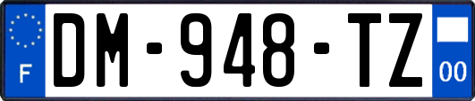 DM-948-TZ