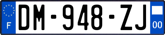 DM-948-ZJ