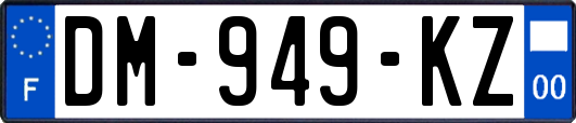 DM-949-KZ