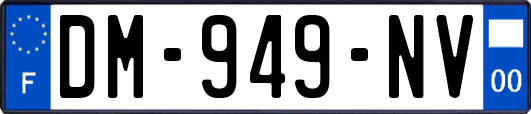 DM-949-NV