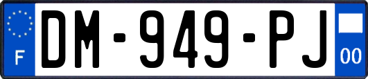 DM-949-PJ