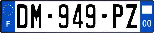 DM-949-PZ