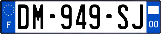 DM-949-SJ