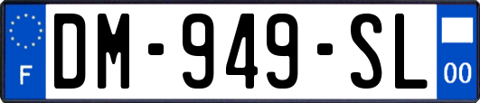 DM-949-SL