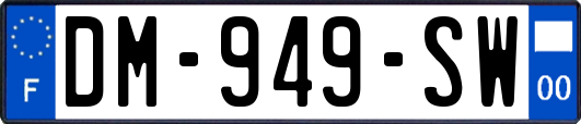 DM-949-SW