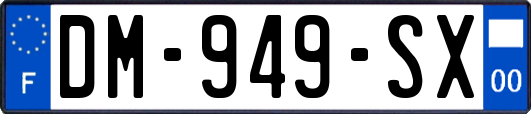 DM-949-SX