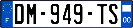 DM-949-TS