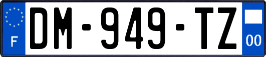 DM-949-TZ