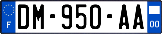 DM-950-AA