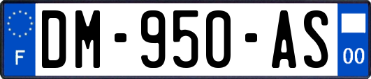 DM-950-AS