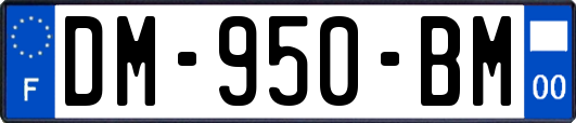 DM-950-BM