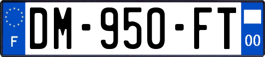 DM-950-FT