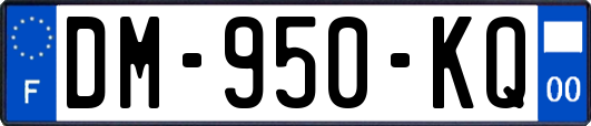 DM-950-KQ