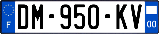 DM-950-KV