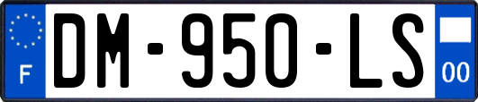 DM-950-LS