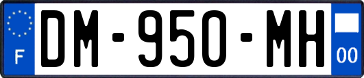DM-950-MH