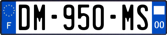 DM-950-MS
