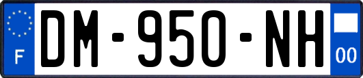 DM-950-NH