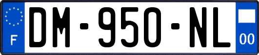 DM-950-NL