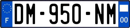 DM-950-NM