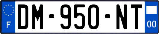 DM-950-NT