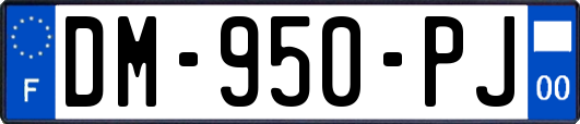 DM-950-PJ