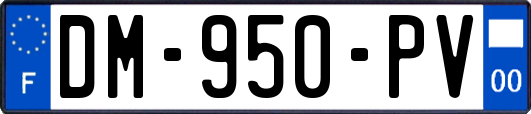 DM-950-PV