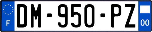 DM-950-PZ