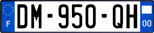 DM-950-QH