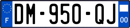 DM-950-QJ